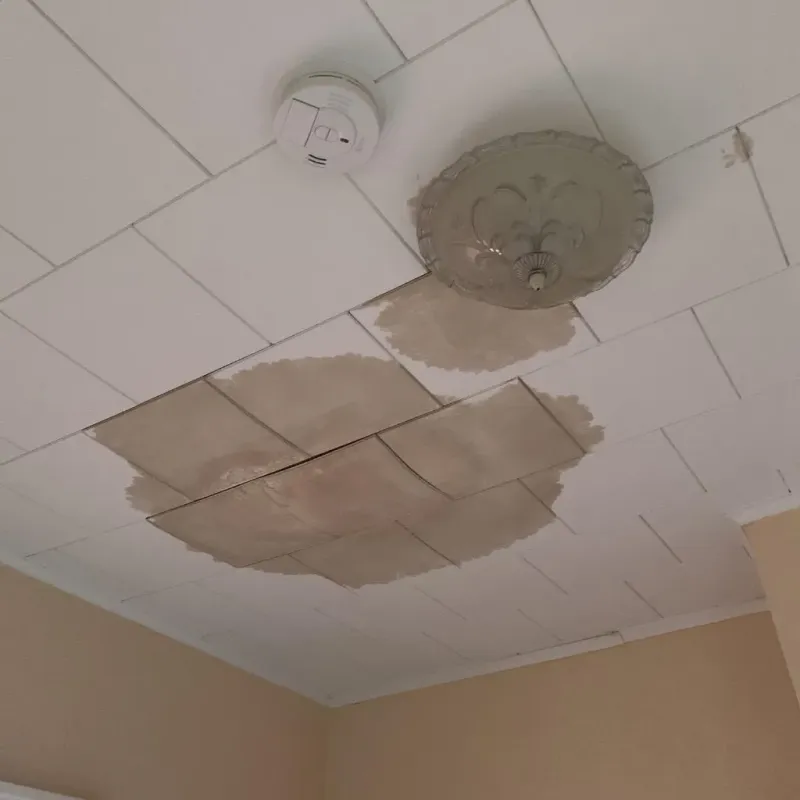 Ceiling Water Damage Repair in Lake Panasoffkee, FL