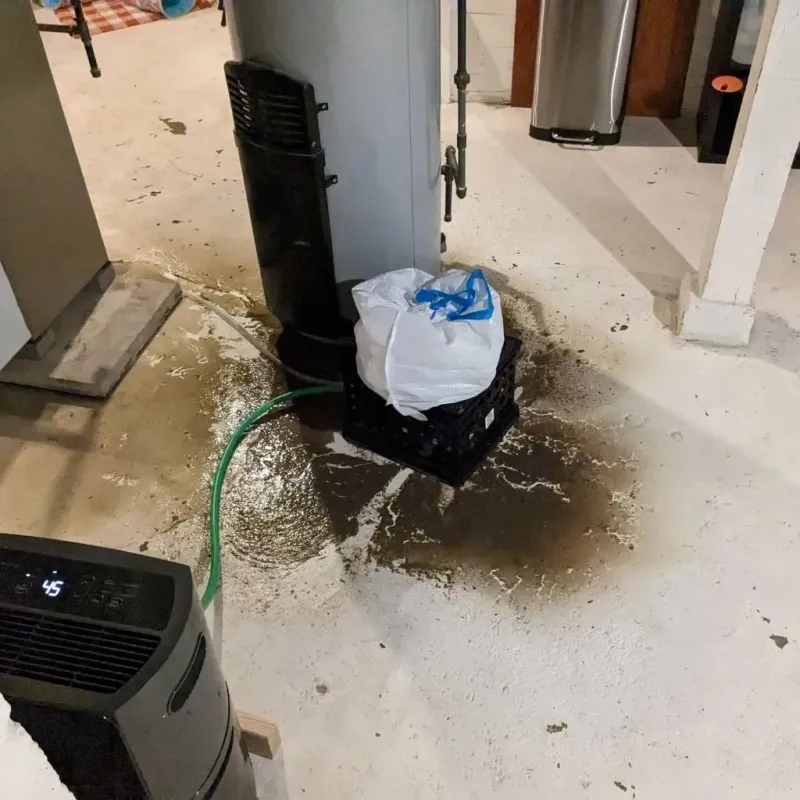 Sewage Backup Cleanup Service in Lake Panasoffkee, FL